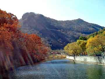 新澳天天开奖资料大全旅游团，暧昧神医